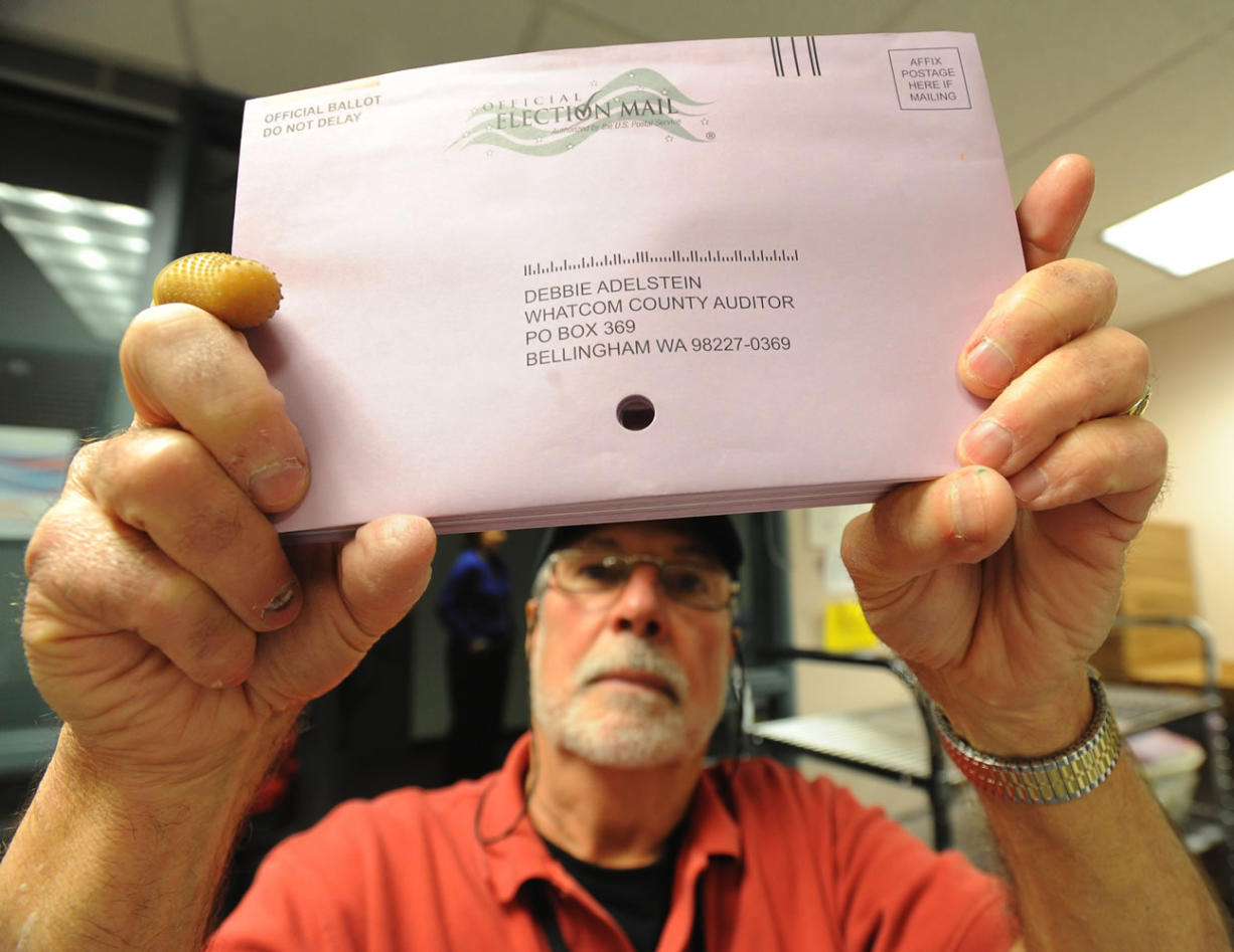 Election worker Richard Coit makes sure all ballots are removed from envelopes by looking through the hole in the middle of the envelopes at the Whatcom County Auditor's office Tuesday in Bellingham.