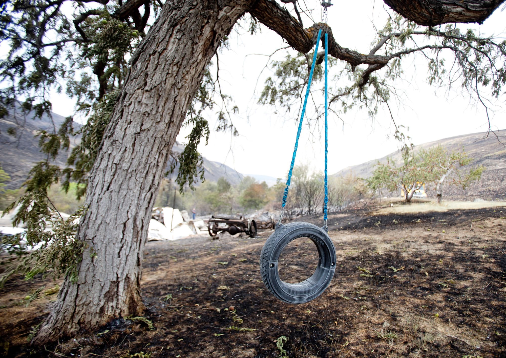 A swing hangs from a walnut tree Wednesday on property destroyed in the Colockum Tarps Fire  south of Malaga.