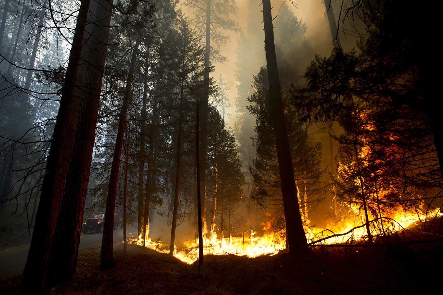 Fire rages out of control in the Stanislaus National Forest on Thursday in California.
