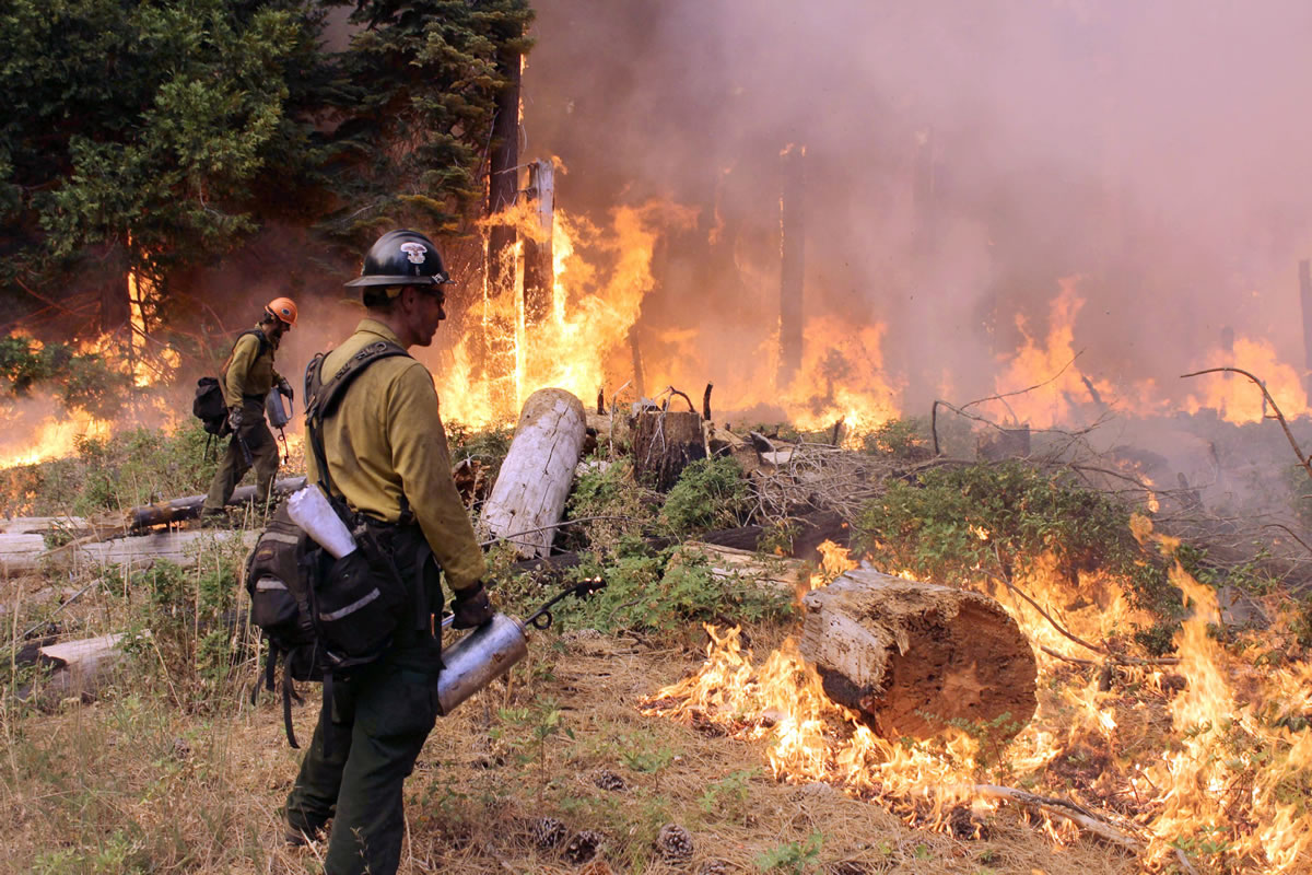 Fire crew members stand watch near a controlled burn operation as they fight the Rim Fire near Yosemite National Park in California on Sunday.