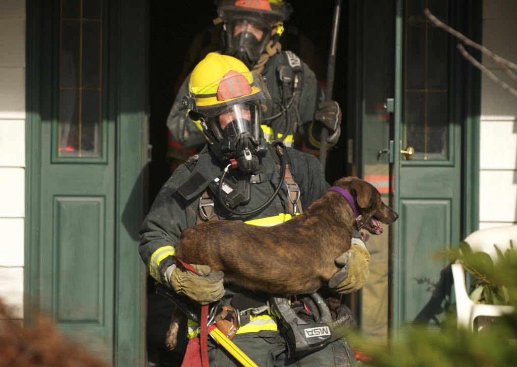 Firefighter Jere Weyrauch from Vancouver Fire's Truck 1, carries a dog from a house that was damaged by fire at 406 N.W. 53rd Street on January 11, 2013. Firefighters named the dog Lucky.
