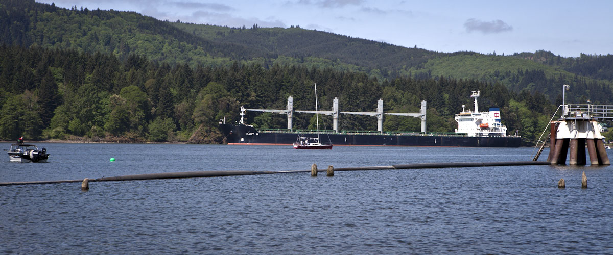 The 623-foot Mary H anchored across the Columbia River from the Kalama Export grain terminal at the Port of Kalama on Tuesday morning after protestors blocked its path  to the port.
