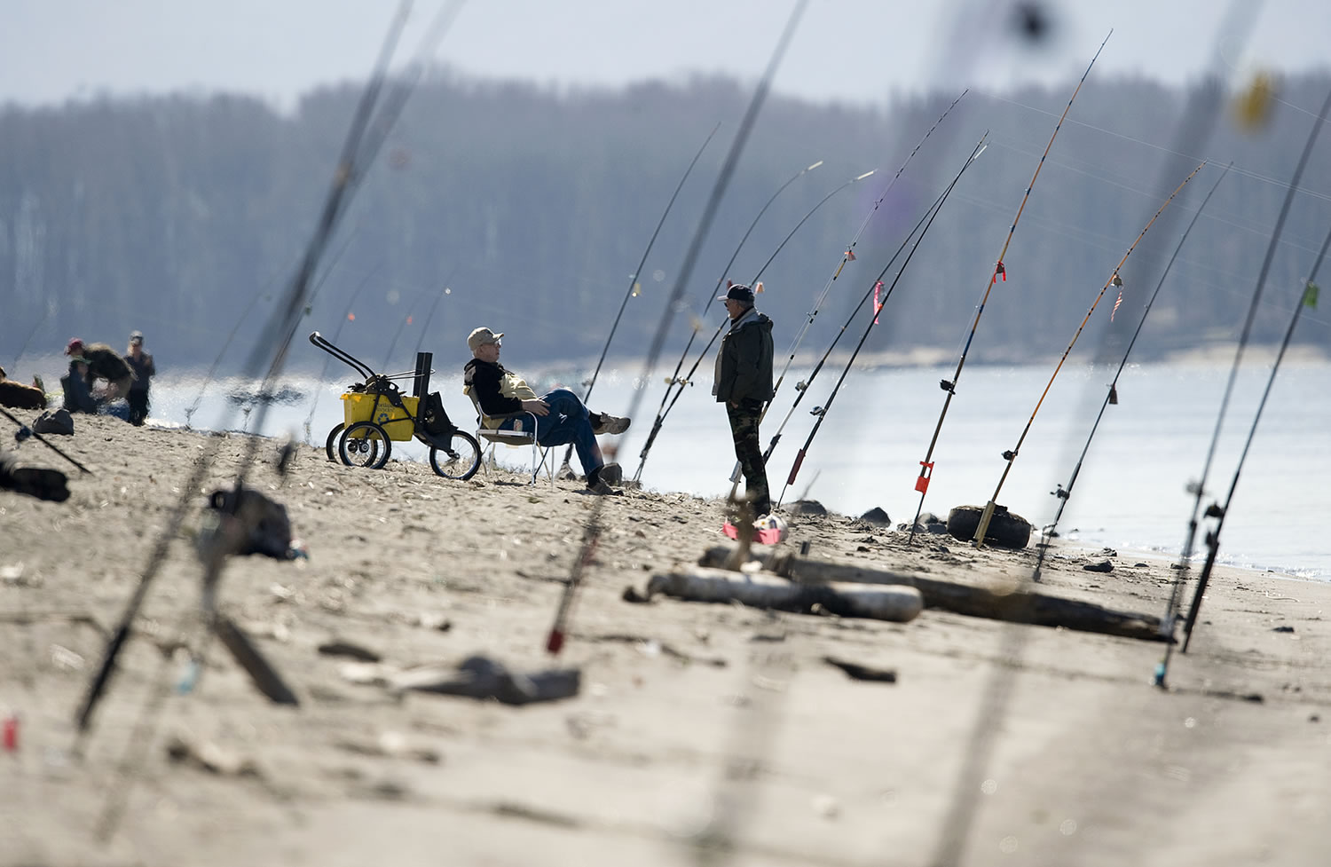 Spring salmon anglers at Frenchmen's Bar are not likely to have much of an early season in 2013.