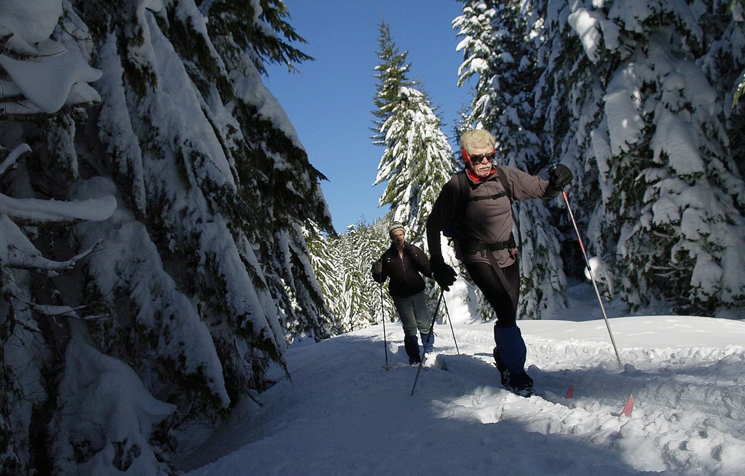 It's easy to overdress in winter if doing highly aerobic activities such as cross-country skiing.