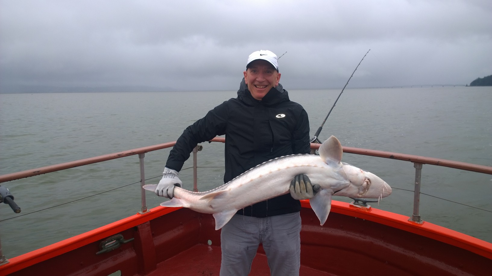 Sturgeon fishing trips in the lower Columbia River dropped to fewer than 3,000 in 2014, the first year of no retention. Trips numbered more than 150,000 as recently as 2008.