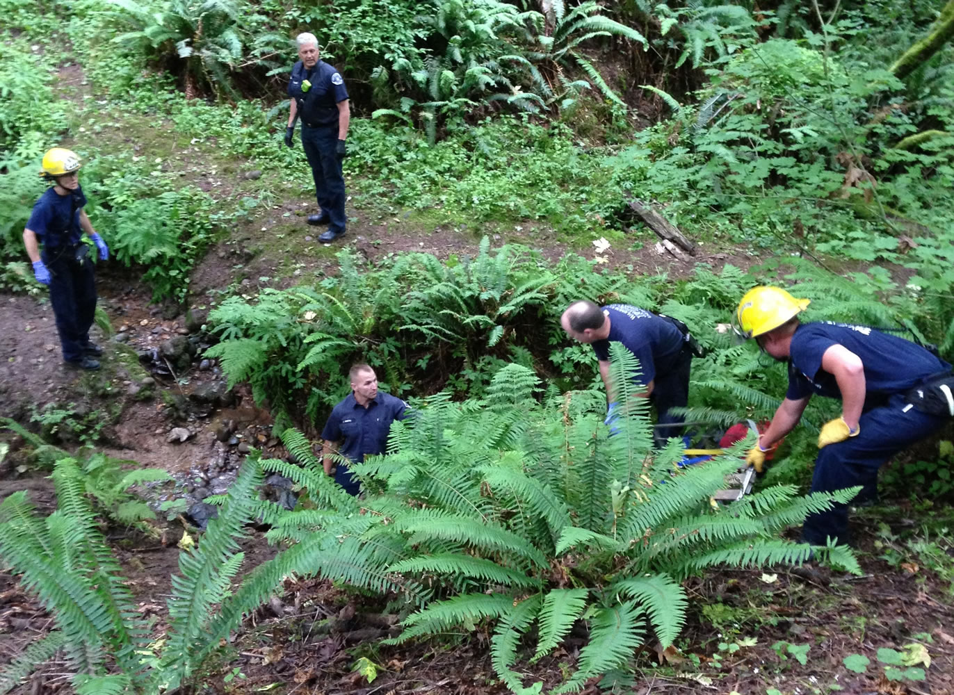 Fire crews work during the rescue of a 13-year-old who suffered head injuries when he fell from a rope swing in a heavily forested canyon near Camas.