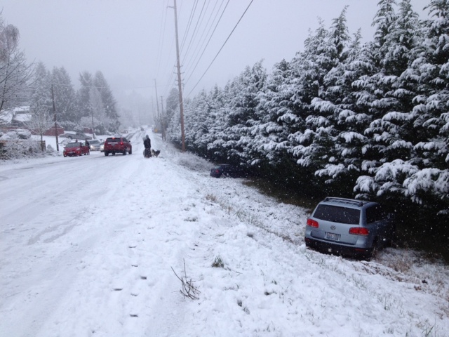 Northwest 36th Avenue in Felida had to be closed after several vehicles spun out and ended up in the ditch.