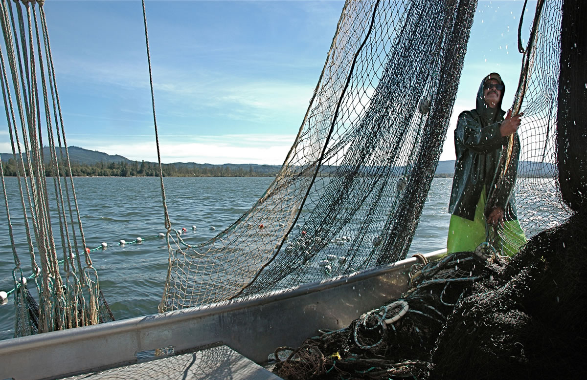 Washington's representatives to the Columbia River reform workgroup want to see pilot fisheries using purse seines (shown here) and beach seines beginning next fall.