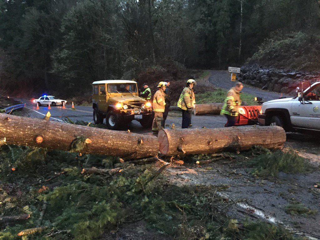 Clark County sheriff's deputies help with traffic control as crews remove a tree Wednesday morning from the 37400 bock of Northwest Old Pacific Highway in Woodland. The fallen tree downed power lines. There were no injuries.