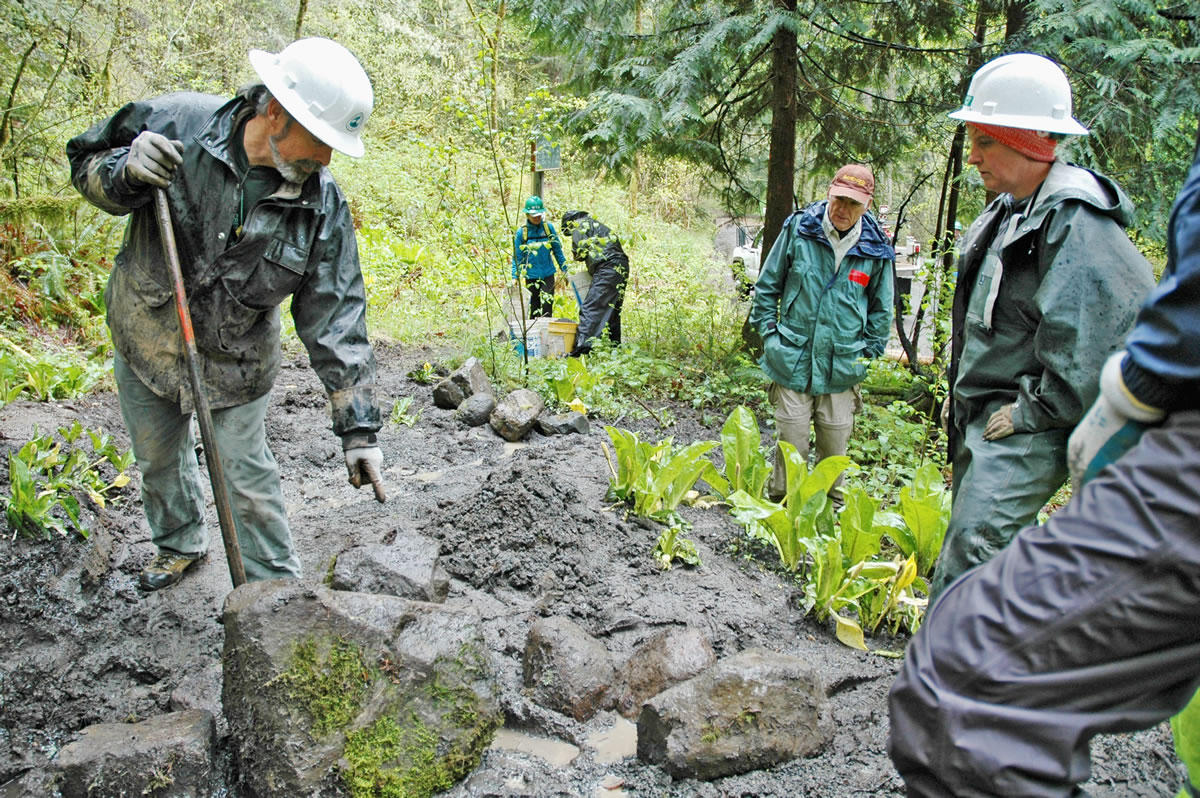 Bill Hawley of Washougal demonstrates how to place a large stone using a rock bar to improve drainage on Gorge trail No.