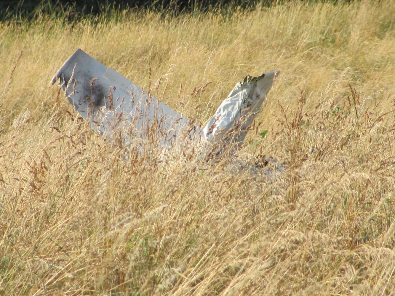 A single-engine, four passenger airplane -- a Piper Comanche P24-250 -- flown by Wilbert &quot;Skeets&quot; Mehrer, crashed Wednesday afternoon in a field approximately 1/2 mile from Grove Field Airport. Mehrer, 84, of Canby, Ore., was pronounced dead at the scene.