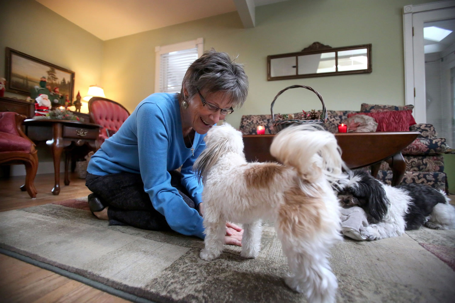 Sue Bohlmann plays with her dogs Gretel, a female Maltese papillon, and Mateo, a Havanese, at her home in Minnetonka, Minn.