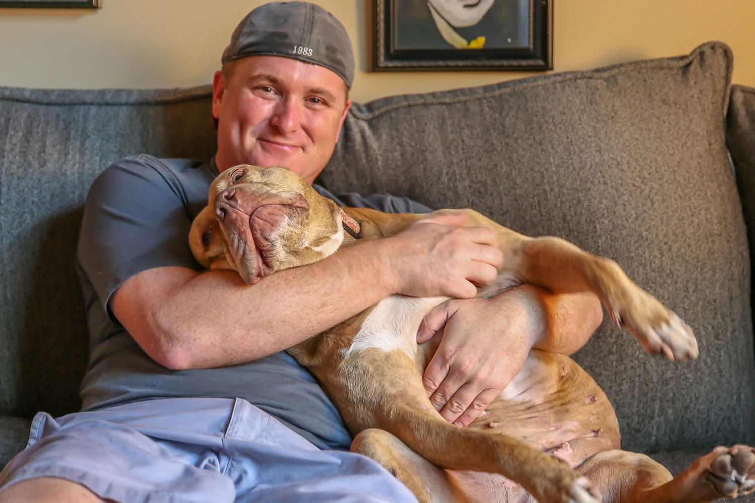Dolly relaxes at home with Tim Davoren, a Chicago Canine Rescue volunteer. Dolly has earned her AKC Canine Good Citizen certificate and has become a pit bull ambassador.