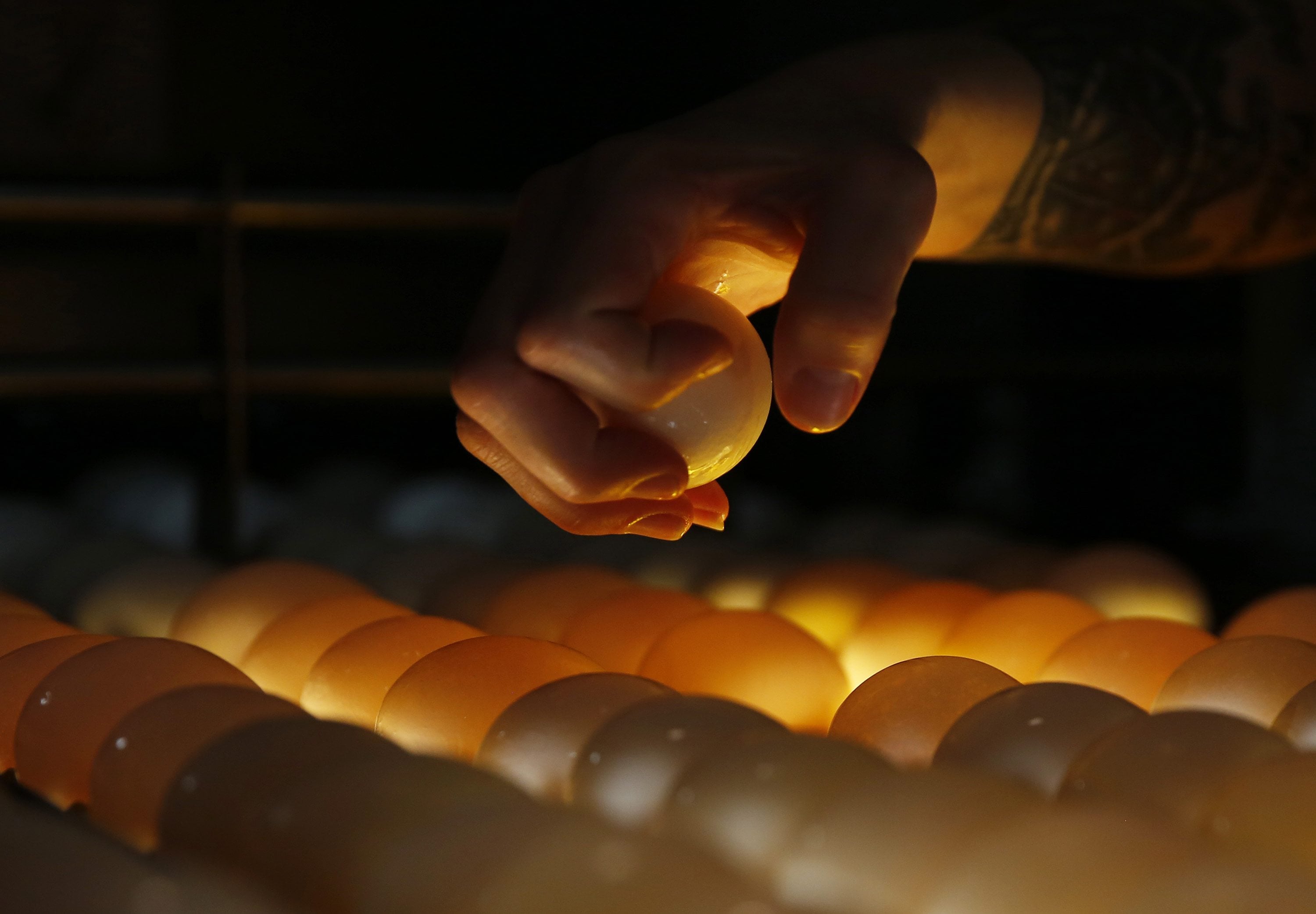 A washed egg is plucked from a conveyor during candling inspection at Phil&#039;s Fresh Eggs in Forreston, Ill.
