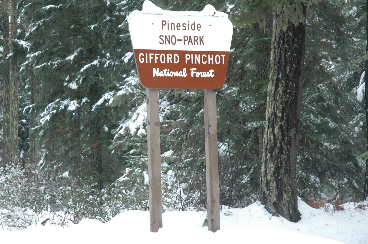 Pineside Sno-Park in the Mount Adams Ranger District of the Gifford Pinchot National Forest has room for about 30 vehicles.
