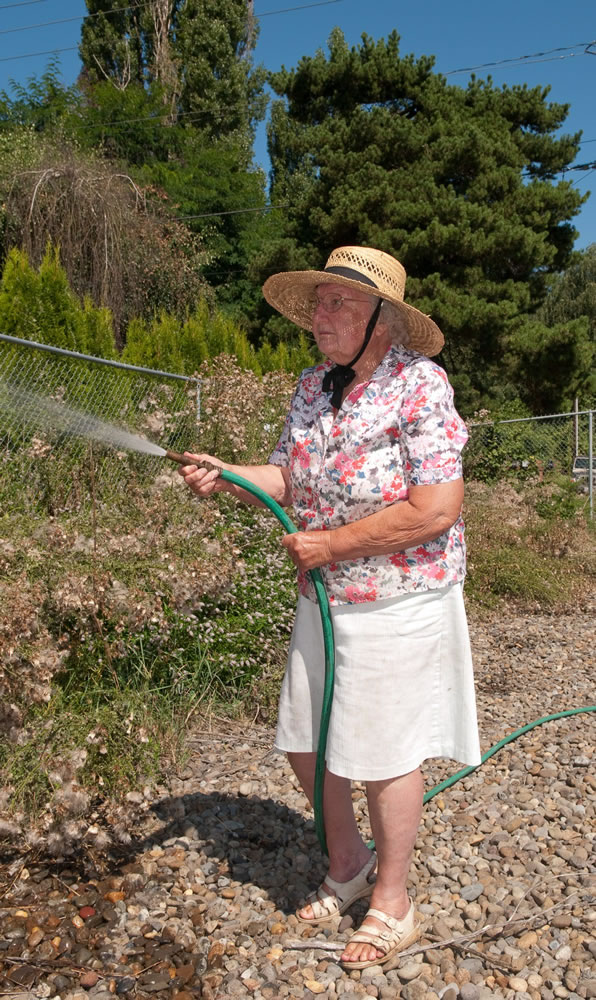Brush Prairie: Julia Spellman, 87, was busy hosing down thistle plants in a bioswale near her home in August. Since then, a homeowner in the development itself has stepped in to clean up the facility.
