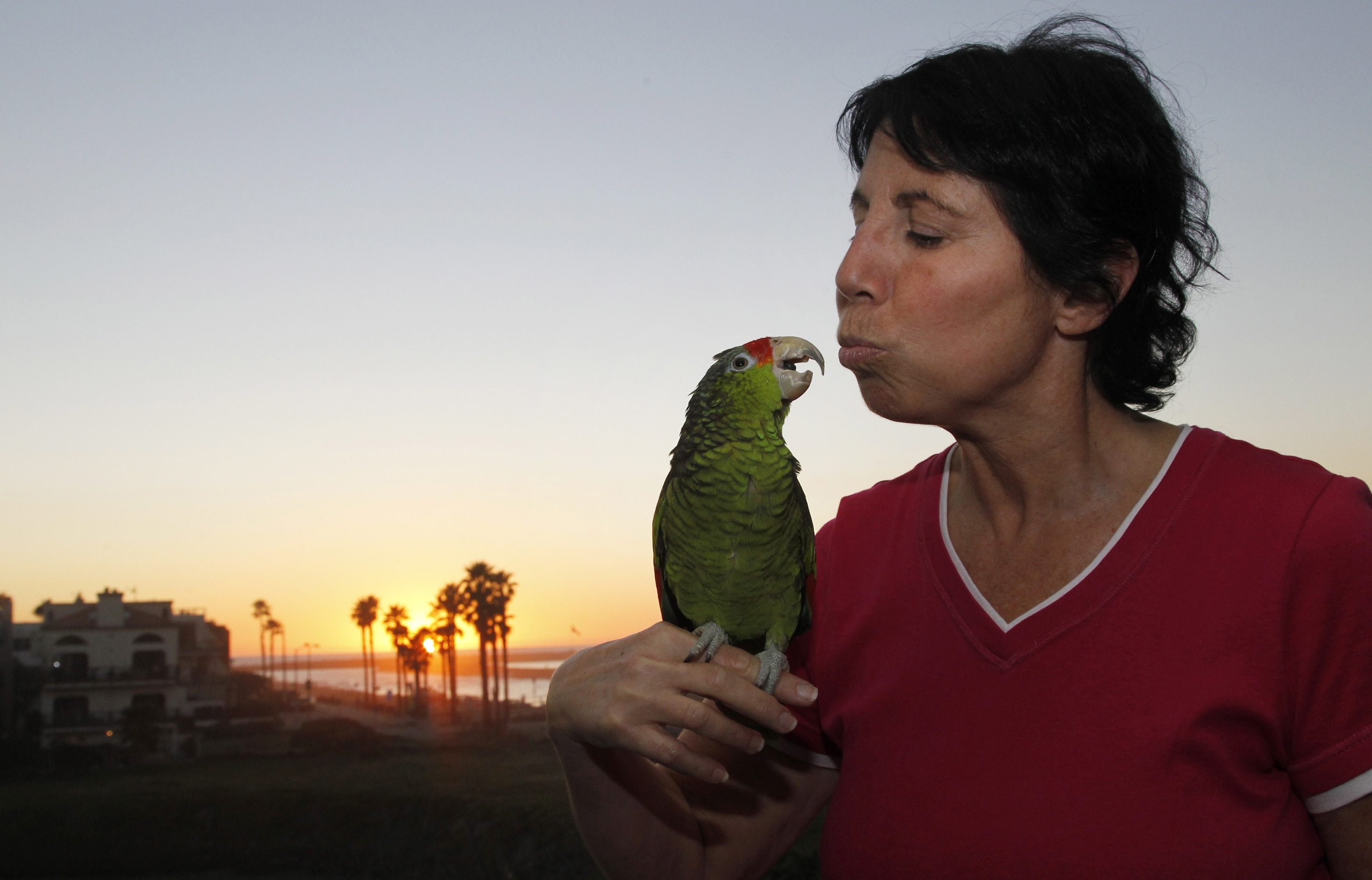 Mira Tweti, executive director of the national Parrot Care Project, kisses her rescue parrot, Liberty, at her Los Angeles apartment.
