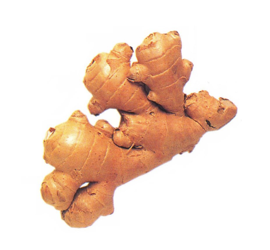 Ginger can be kept in the refrigerator for two to three weeks wrapped in a paper towel and placed in a plastic bag.