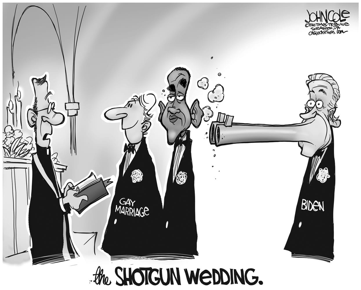 Other opinions cartoon: Obama's gay marriage growth