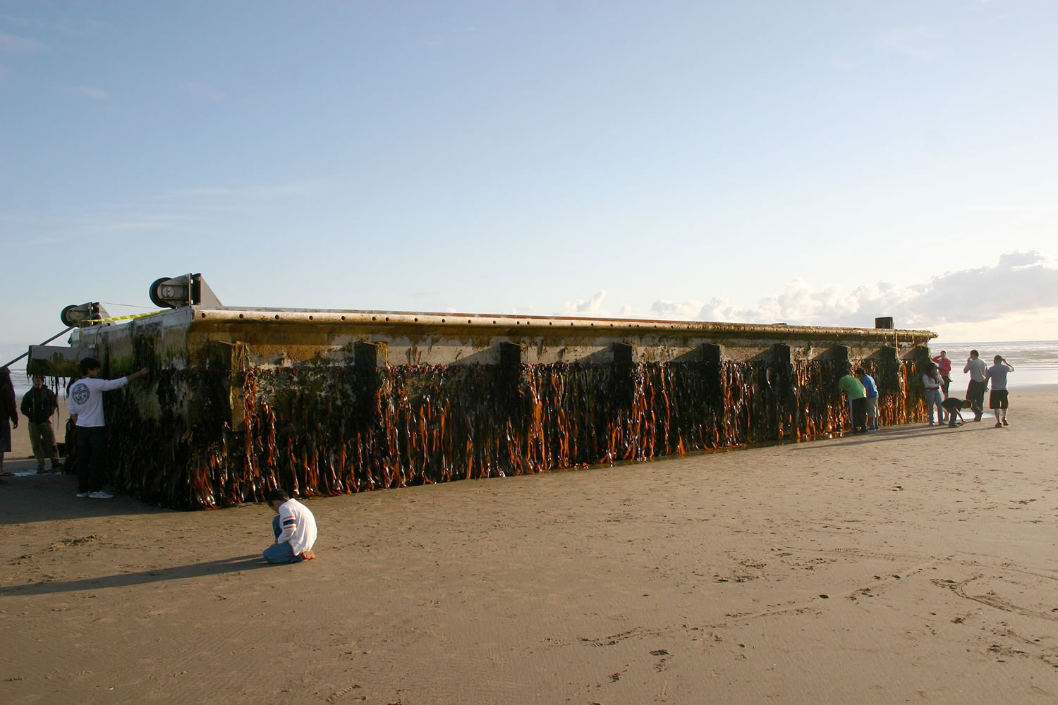 This photo taken Wednesday, June 6, 2012 and supplied by the Oregon Department of Parks and Recreation, shows a large dock that washed ashore early Tuesday on Agate Beach, a mile north of Newport, Ore.