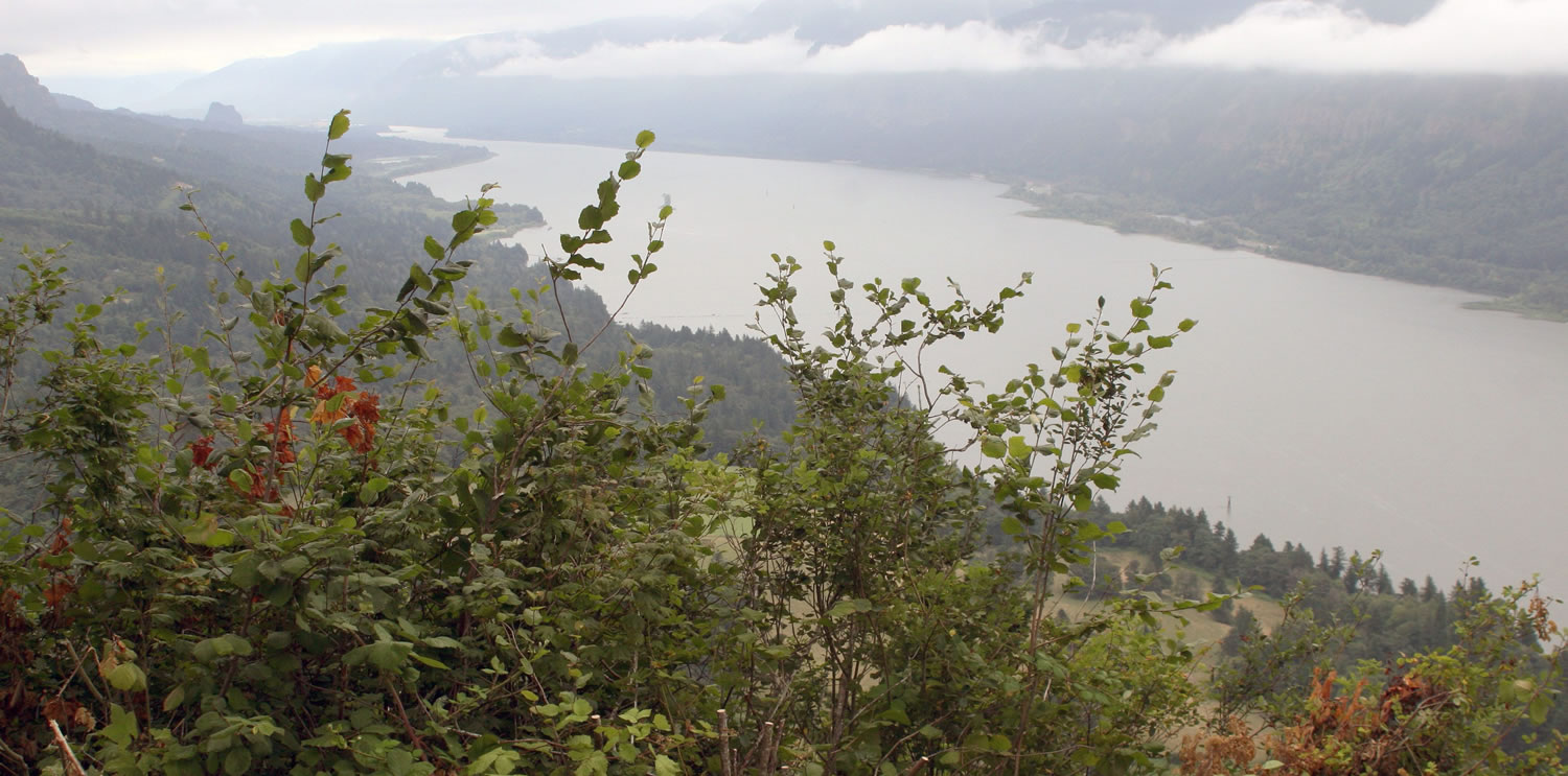 The view from the brand new Nancy Russell Overlook at Cape Horn.