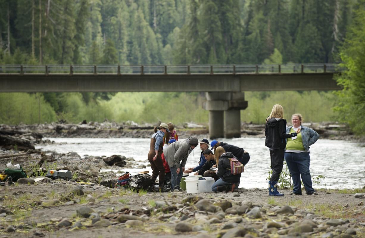 Students from all over Clark County spent Thursday working with representatives from the USFS, Mount St. Helens Institute, and Smith Root on hands on projects related to the fish and streams on Mount St.