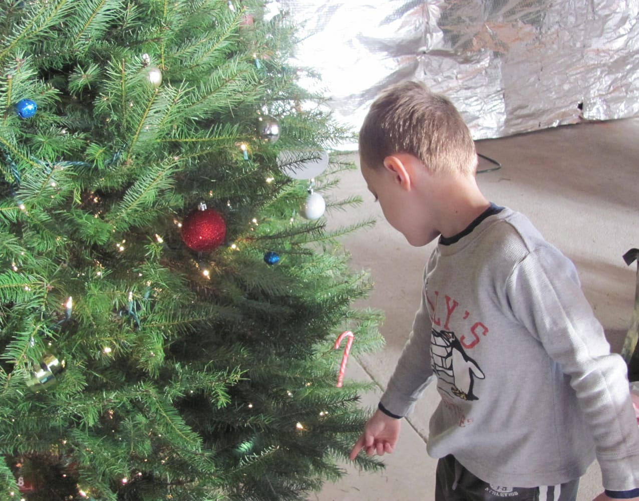 Jacob Bellamy, 4, helps decorate a tree put together by the Cape Horn-Skye preschool class.