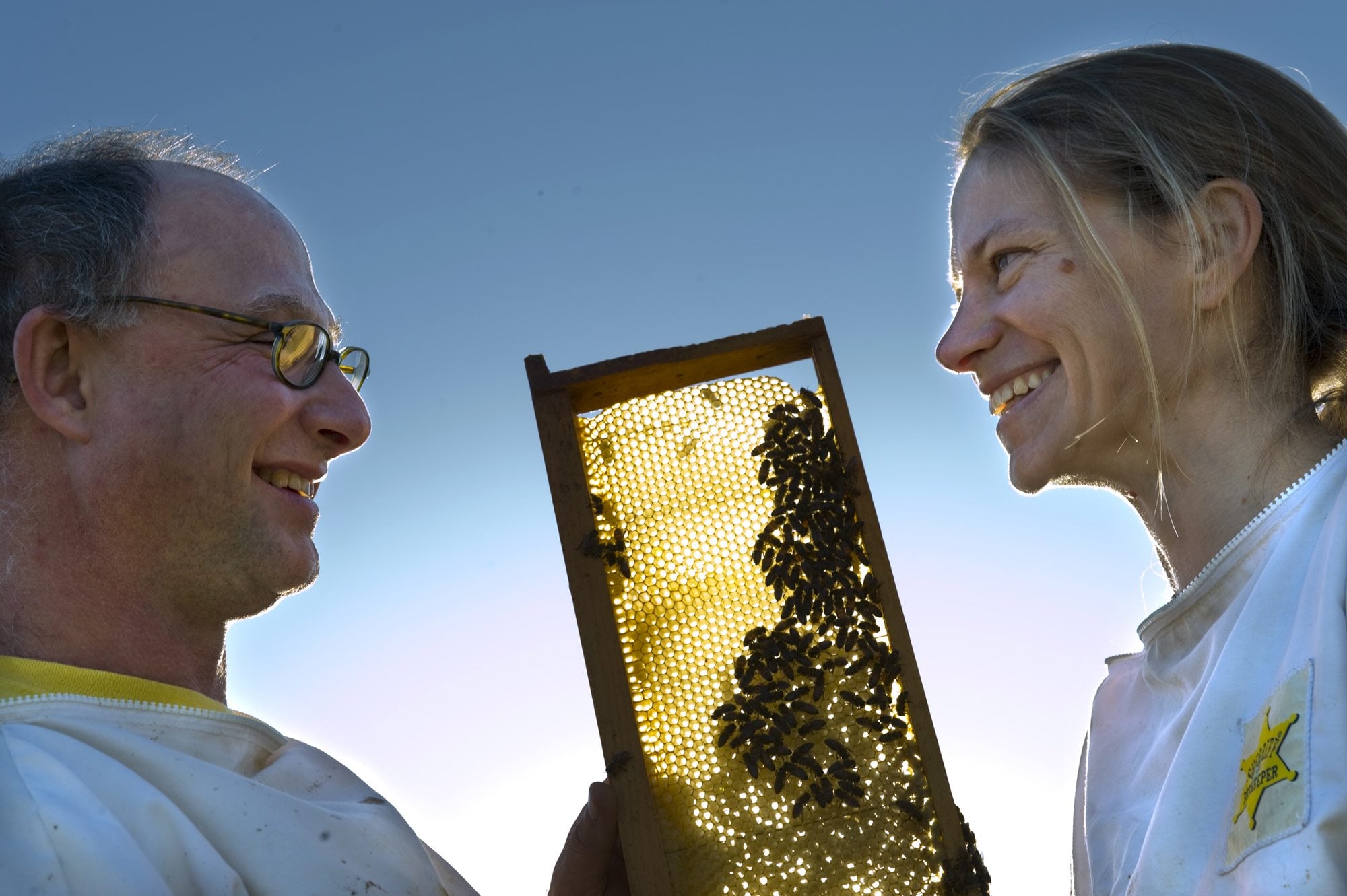 Adam Finkelstein and Kelly Rausch, of Frederick, Md., are working to defeat colony collapse disorder and other threats to honeybees.