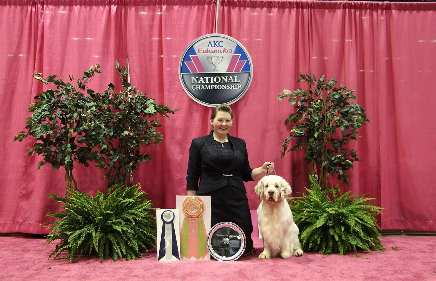 Raina Moss and her dog Dirk, a clumber spaniel, won the 2015 Eukanuba National Junior Showmanship Championship in Orlando, Fla., and will travel to England to represent the United States in international competition.