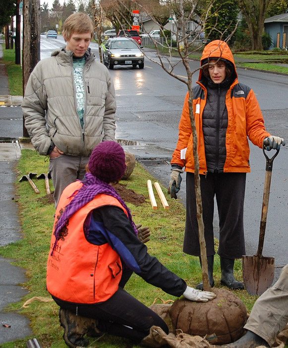 West Vancouver: Local volunteers and tree experts discuss the finer points of planting trees.