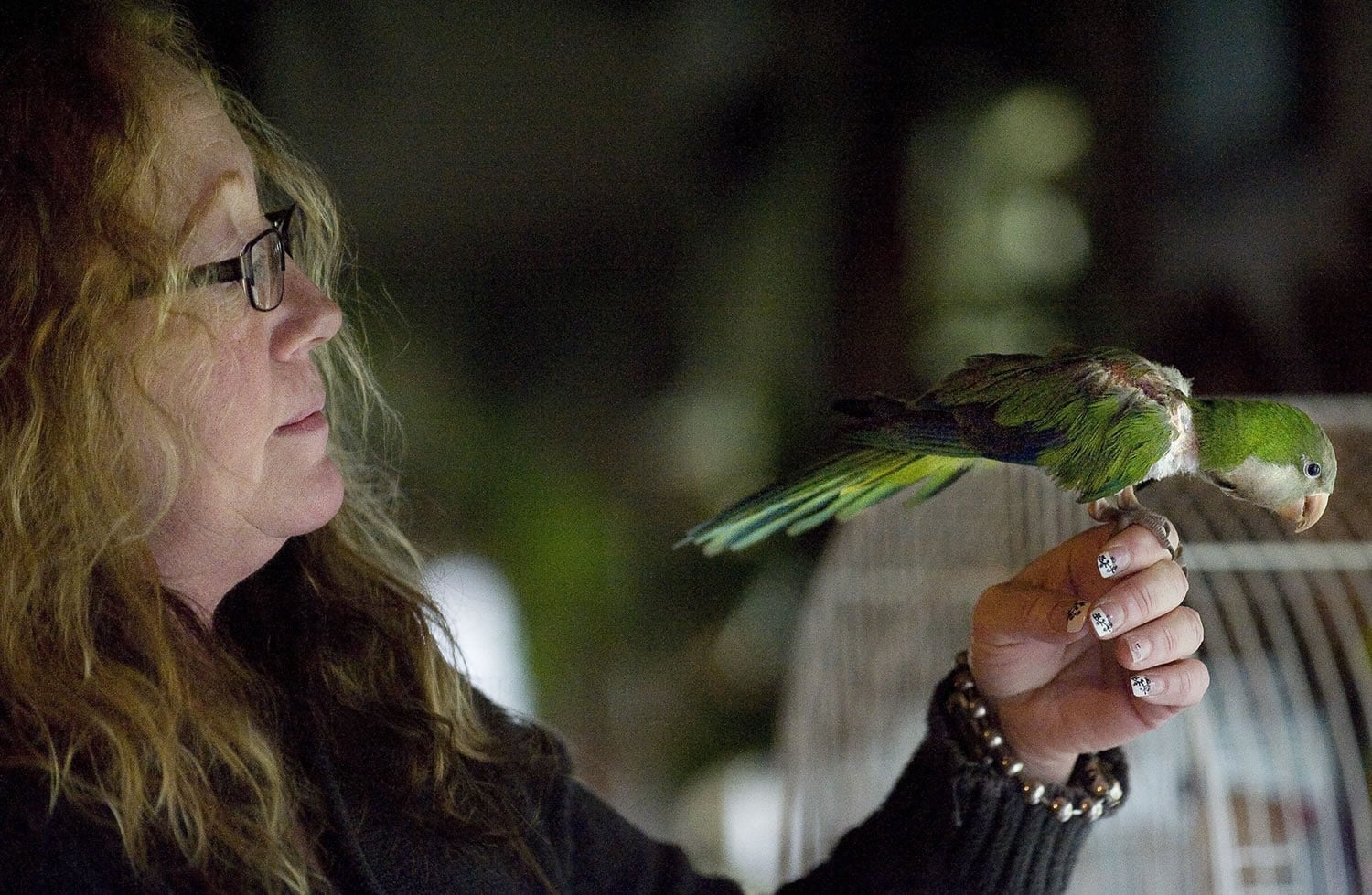 Brenda Wilson inspects her parrot, Doc, inside her Battle Ground home.