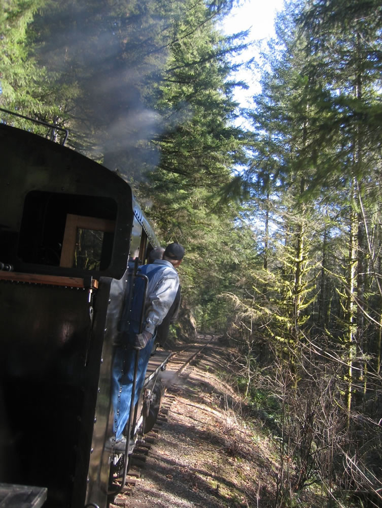 Experience a 10-mile round-trip train ride through the forests of north Clark County on the Chelatchie Prairie Railroad.