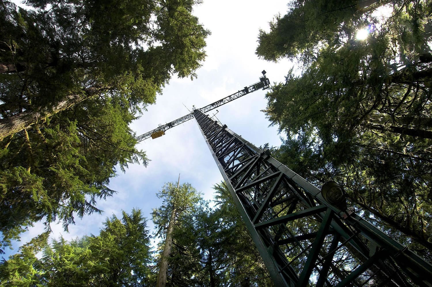 The Wind River Canopy Crane north of Carson has been retired after 16 years of service, during which it carried scientists 25 stories up into the forest canopy to learn more about how old-growth forests function.