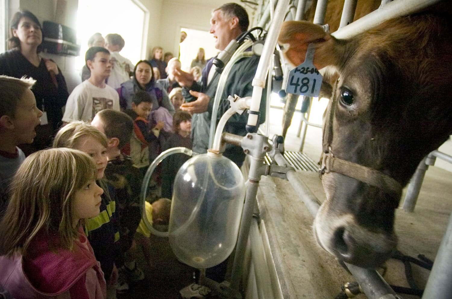 Gerrit VanTol, from Vantol Dairy, and &quot;Lady,&quot; teach kids from River HomeLink the process of milking a cow during Dairy Days at the Clark County Fairgrounds in a 2006 photo.