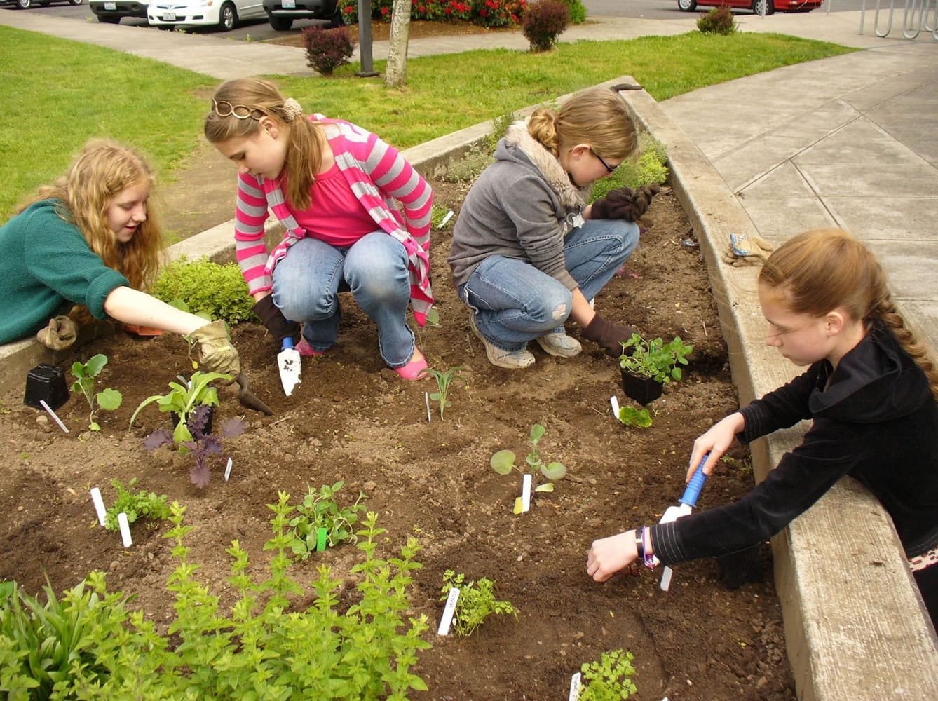 Roosevelt Elementary students, from left, Bonnie McCrady, Veronika Rymar, Mariah Erickson and Svetlana Semenov plant herbs and flowers.