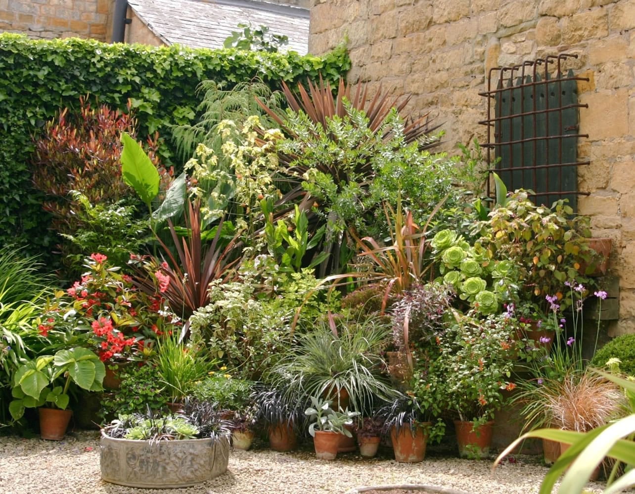 A cluster of interesting pots and planters makes a fine showcase for your latest seasonal plant purchases.