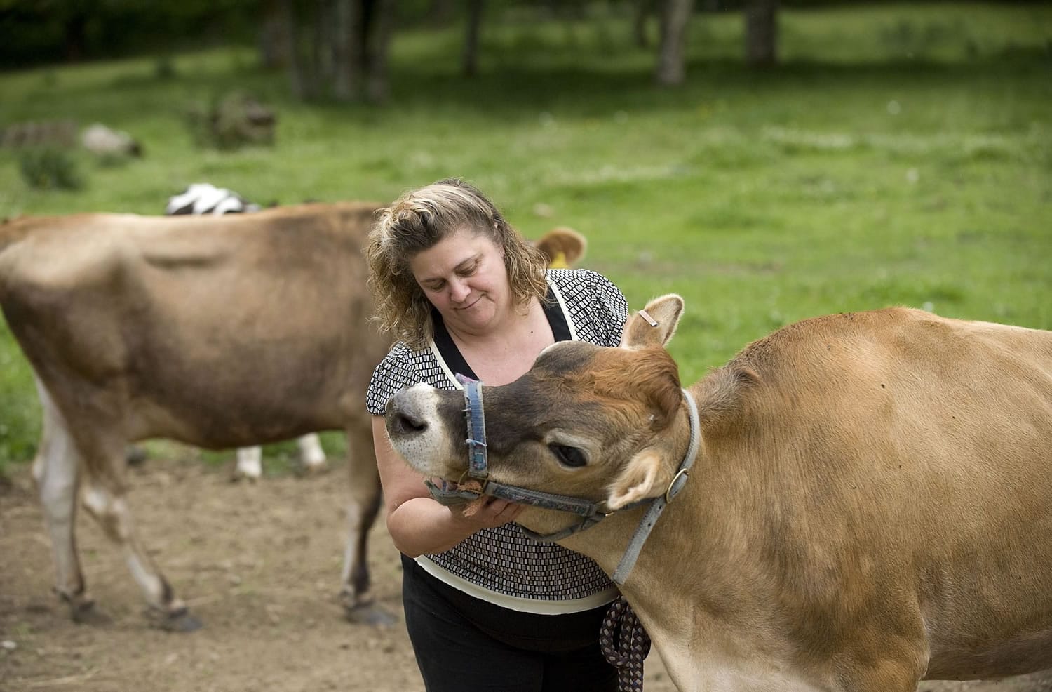 Tina Rodriguez tends to her livestock at Spanish Sonrise Dairy in Yacolt.