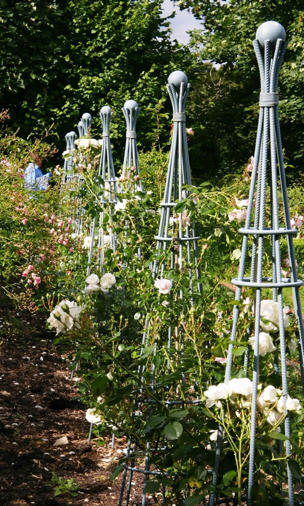A well-grown rose is worth the price of a personalized trellis to guide its growth.