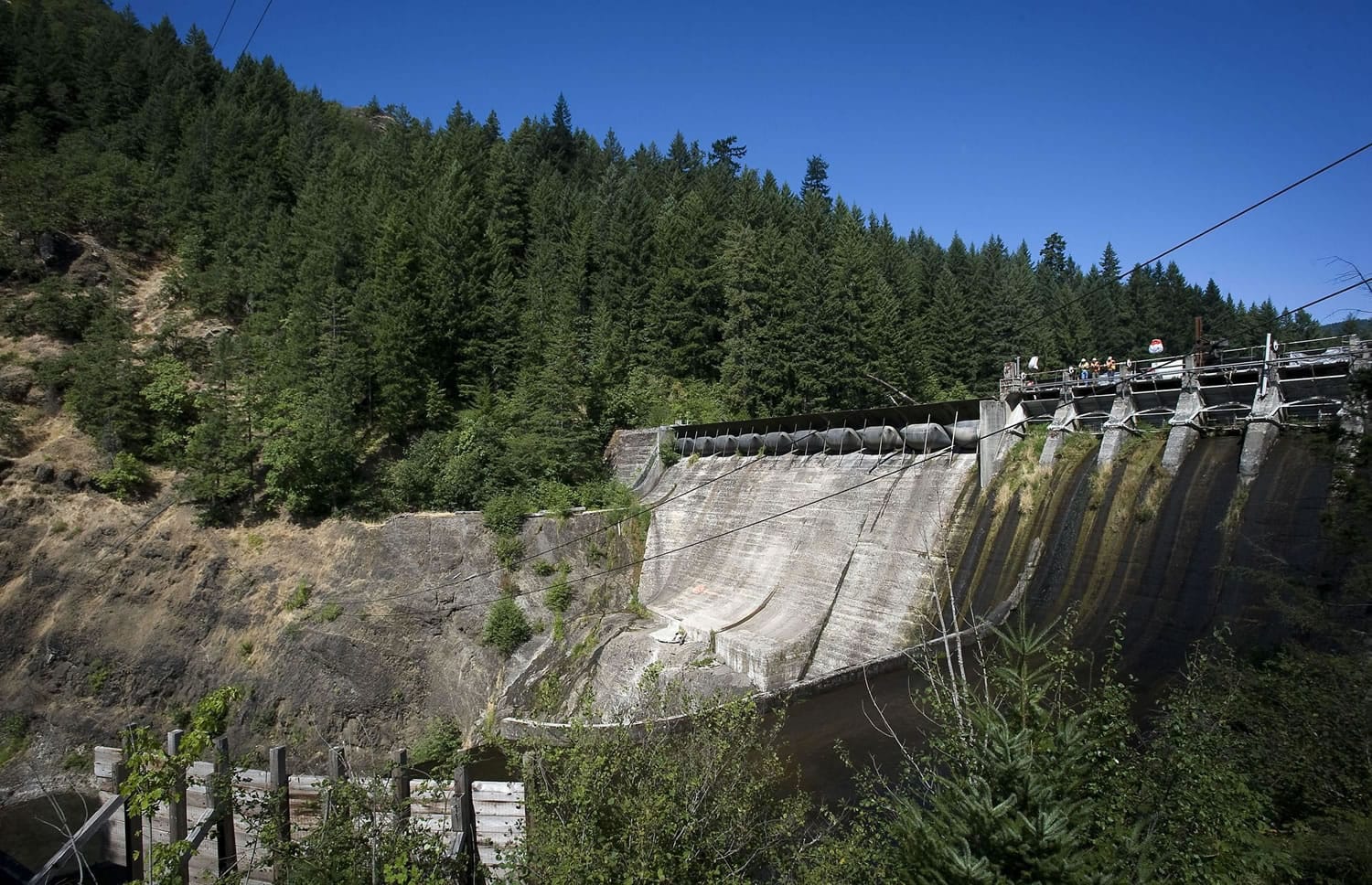 Condit Dam has blocked passage of salmon and steelhead on the White Salmon River since 1913.