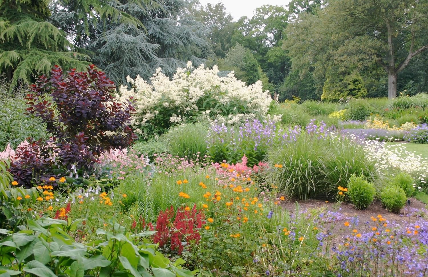 The late summer garden begins to take on tones of autumn in the ever-changing garden.