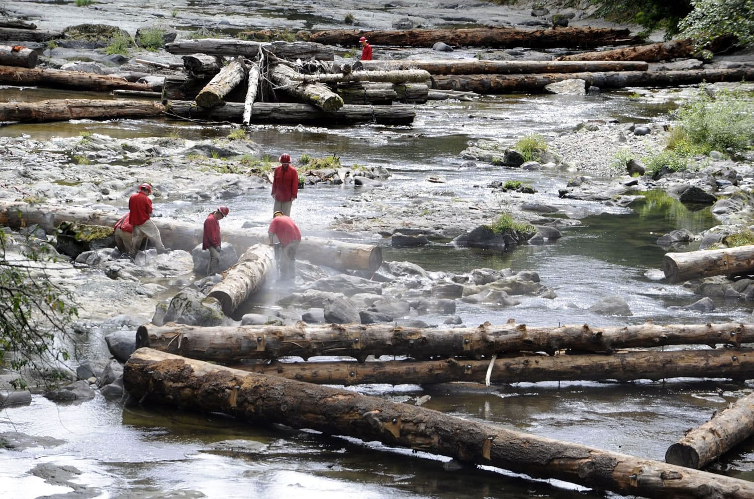 The Lower Columbia Fish Enhancement Group has anchored nearly 160 logs along the Upper Washougal River this year in an effort to restore natural fish habitat.