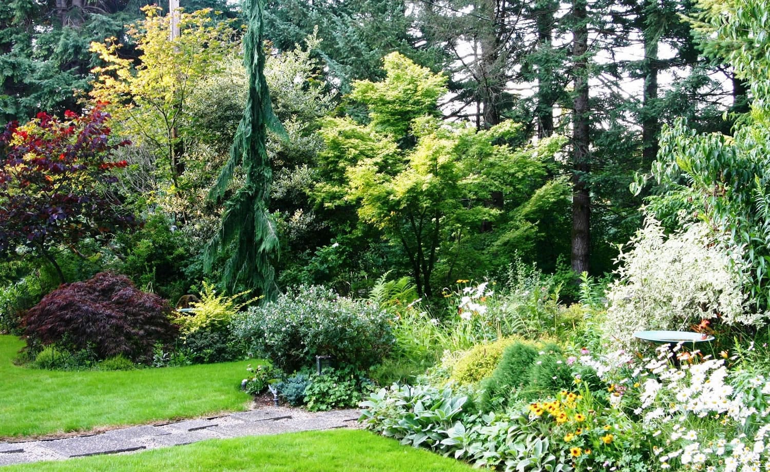 A satisfying landscape with year-round interest contains a mix of trees, shrubs, vines and perennials.