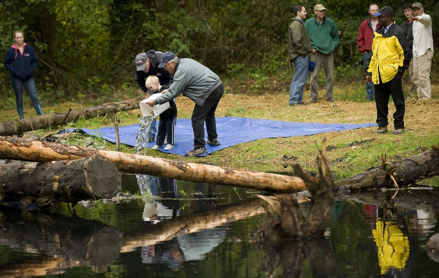 Clark County Commissioner Marc Boldt, right, helps August DeGagne, 5, and his grandfather, Mark Brislawn, release wild coho salmon into a small pond that feeds into Salmon Creek on Monday.