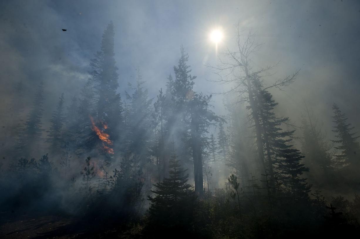 Smoke permeates a mixed-conifer forest at the Sawtooth Huckleberry Fields as fire from a controlled burn spreads to a tree.