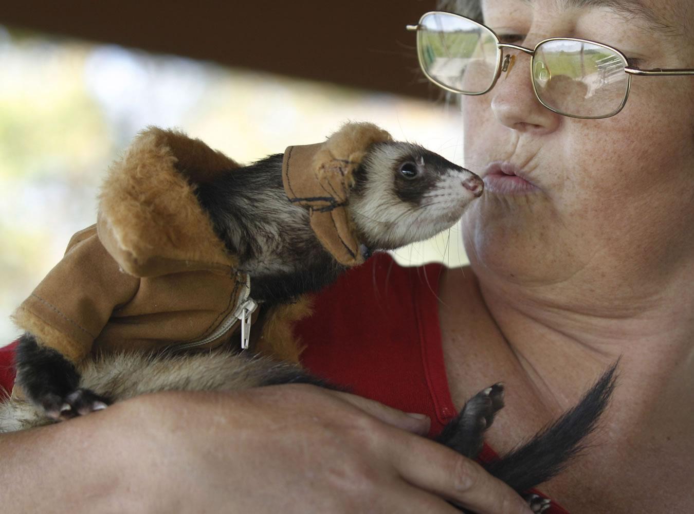 AmyJo Casner kisses her pet ferret, Manny, as he sits on her shoulder after dressing him in a bomber jacket and hat outfit she made for him in Harrisville, Pa.