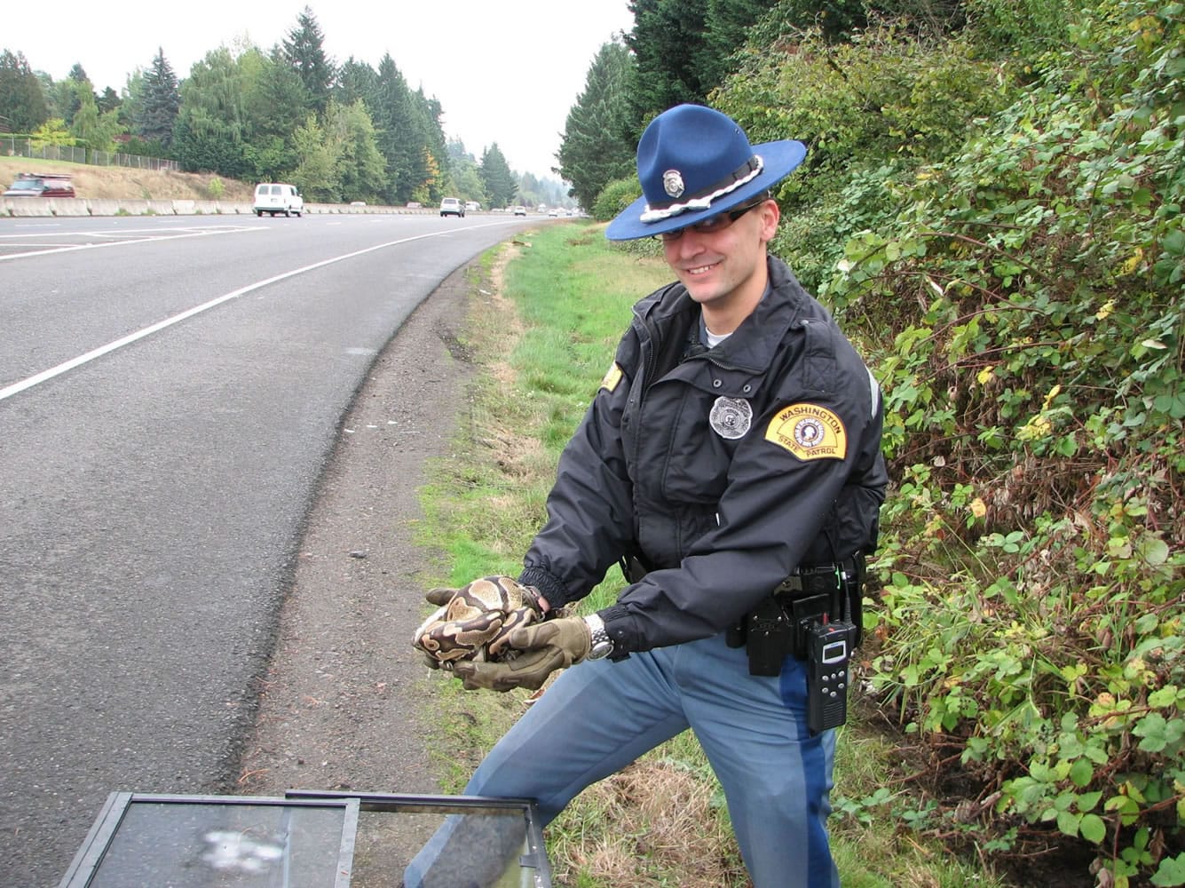 Trooper Jesse Layman, wearing gloves, holds a 5-foot boa constrictor that was found outside a terrarium on the side of state Highway 14 near Lieser Road on Friday morning.