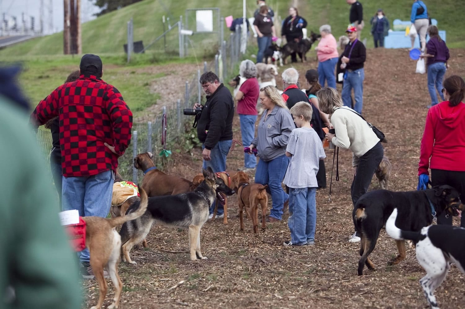 Canines and humans survey Dogtoberfest's scene Saturday morning at the Ross Off-Leash Dog Recreation Area in Vancouver.