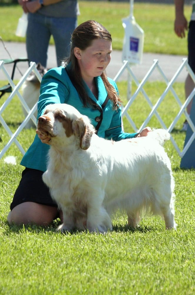 Battle Ground: Raina Moss, 14, and Betty, her clumber spaniel, will compete in the AKC/Eukanuba National Championship dog show in Orlando, Fla., in December.