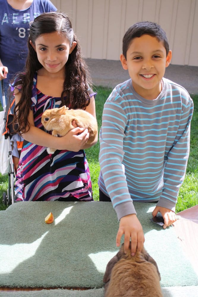 Glenwood: Jissel Valenca, 8, and Anthony Santoyo, 10, enjoy stroking soft, fuzzy bunnies at the Latino Resources Fair on April 15.