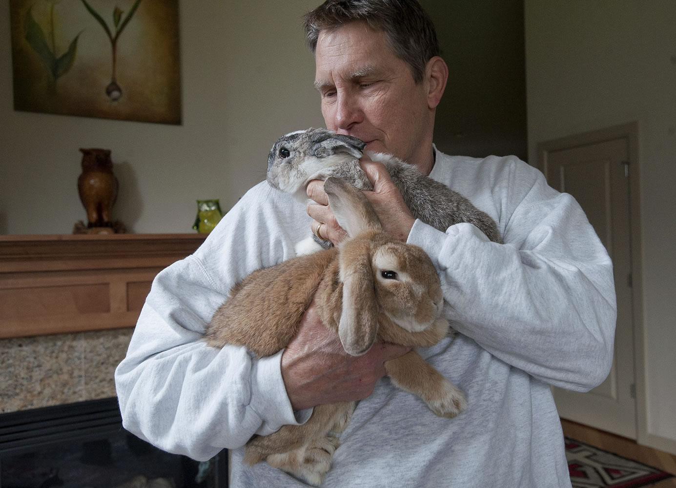 Frank Hoetker holds rescued bunnies Pumpkin and Cricket inside his Woodland home Wednesday.